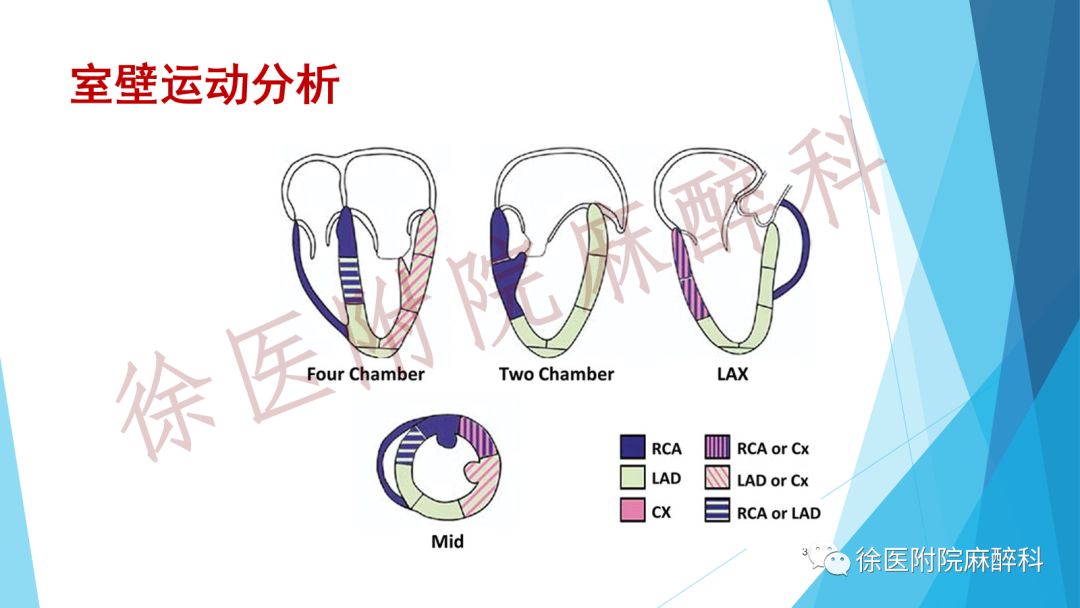 组织机构 第156页