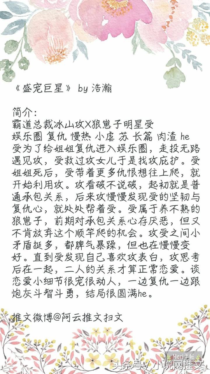 早期耽美甜文的魅力与深远影响