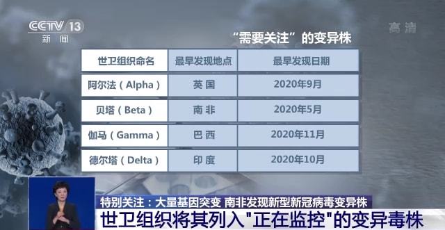 新冠病毒起源、早期表现及影响，探究起源、传播与早期影响的历程