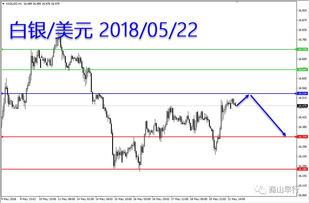 今日美元外汇汇率及分析，最新动态与趋势预测