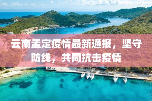 孟定肺炎疫情初期通报揭示关键信息及重要性
