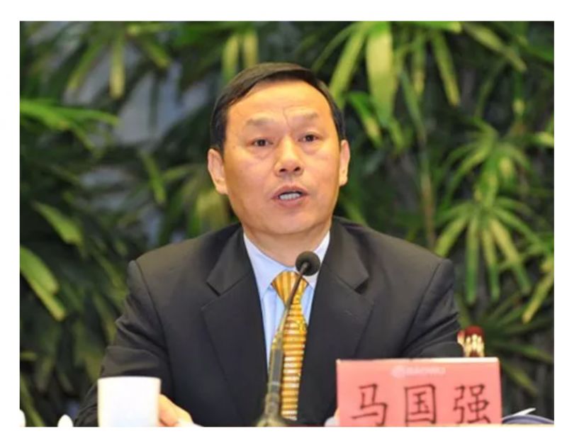 马国强，卓越领导者的崛起与辉煌成就