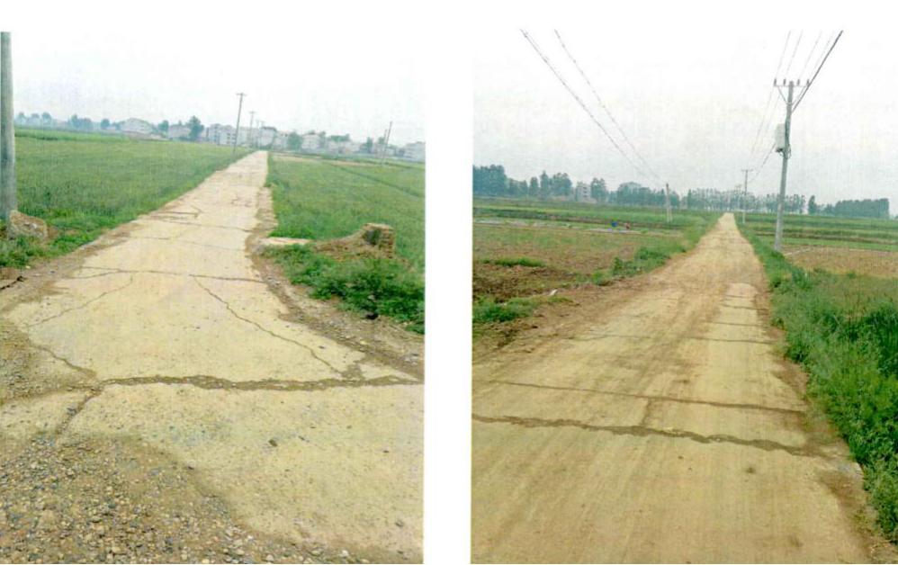 美丽乡村建设早期规划及其深远影响