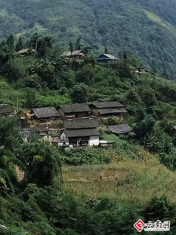 桃源深处村民的喜好变迁与早期文化脉络探寻研究