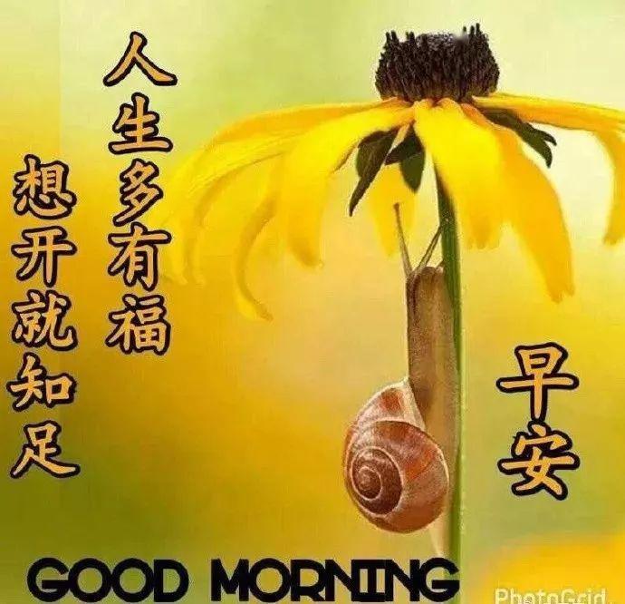 早晨的第一道祝福，启程美好一天的温馨启程图
