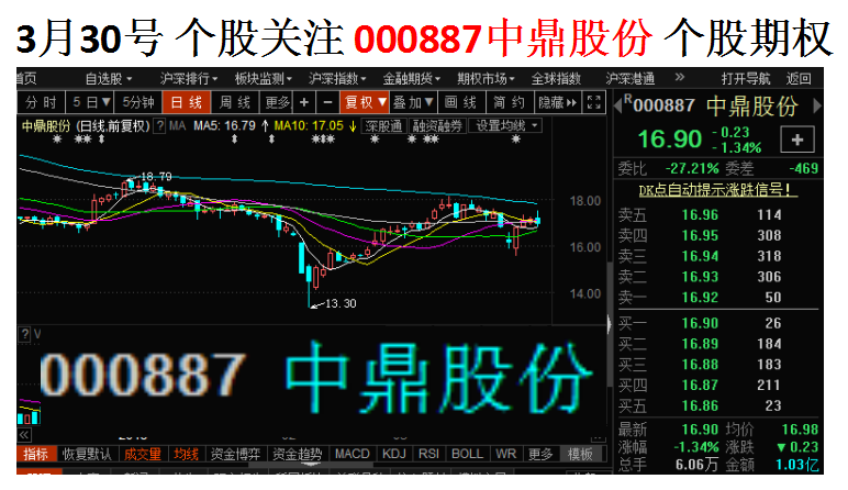 公鸣晨 第2页