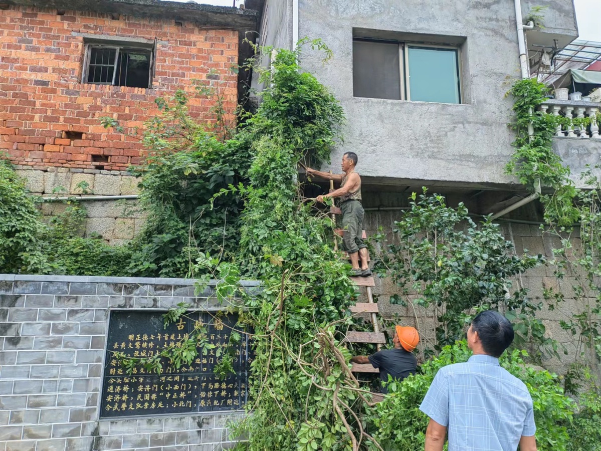 揭秘台风动态，探索台风起源与演变，揭开神秘面纱
