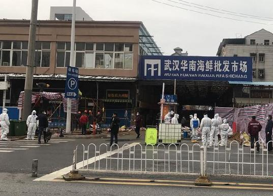 武汉新冠疫情起源真相揭秘，探寻疫情最早源头