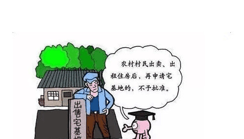 龟最早政策的起源、演变与当代启示