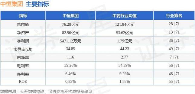 中恒集团早期现状概览与未来发展展望
