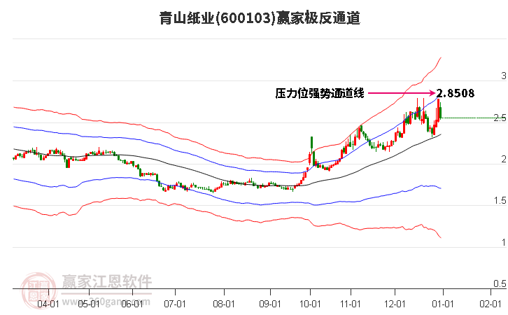 蒋山青，商业领袖的崛起与敏锐洞察力的展现