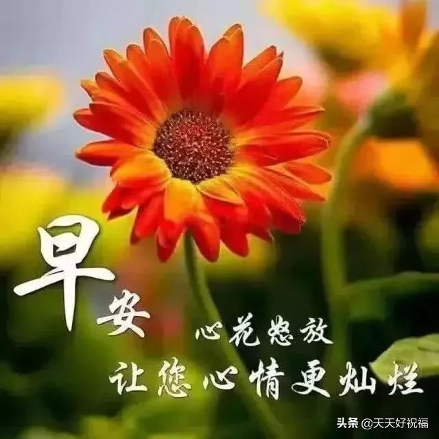 温馨的早安祝福图片，传递最早的温馨祝愿