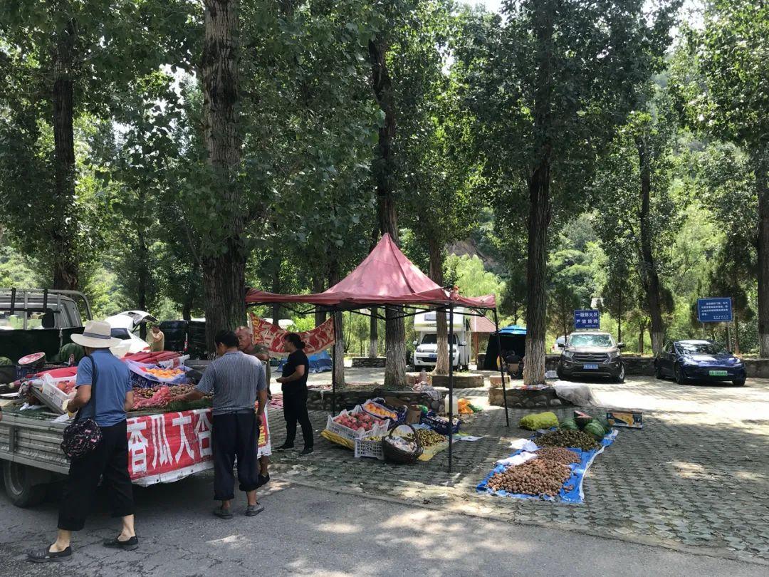 最早疫情进出京政策及其影响概述