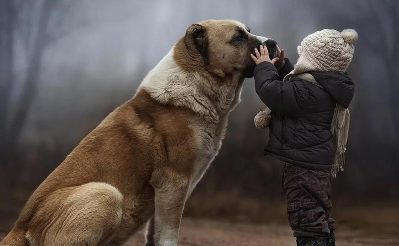 犬公主最早版，历史的回溯与文化的印记