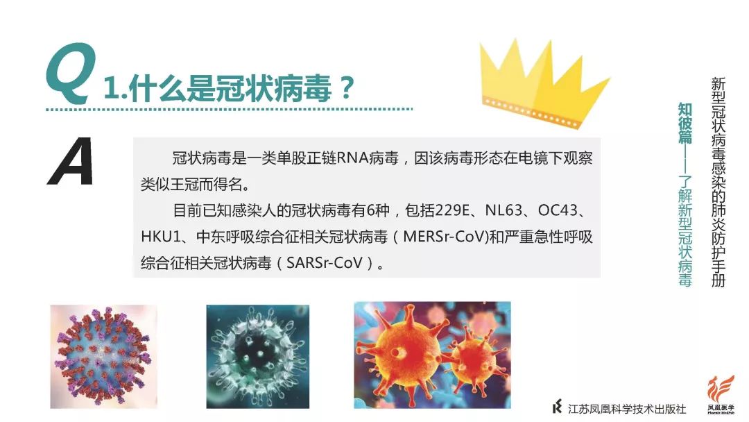 心冠病毒最早状况探究，疫情起源与早期发展分析