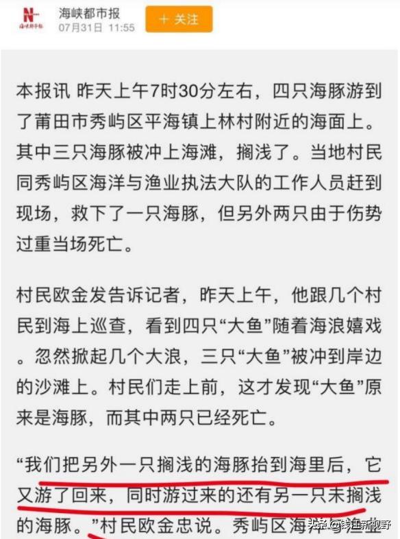 莆田首位通缉犯的背后故事与警示，犯罪与反思的双重启示