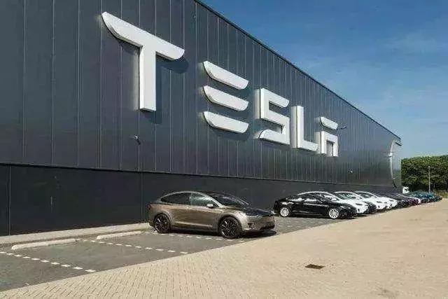 国内最早行业的深度现状与剖析报告