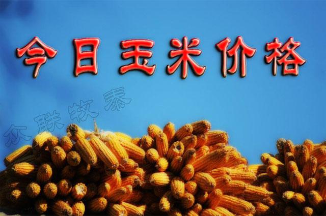 毛猪今日价格及市场走势与影响因素深度解析