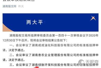财信集团早期状况深度探究