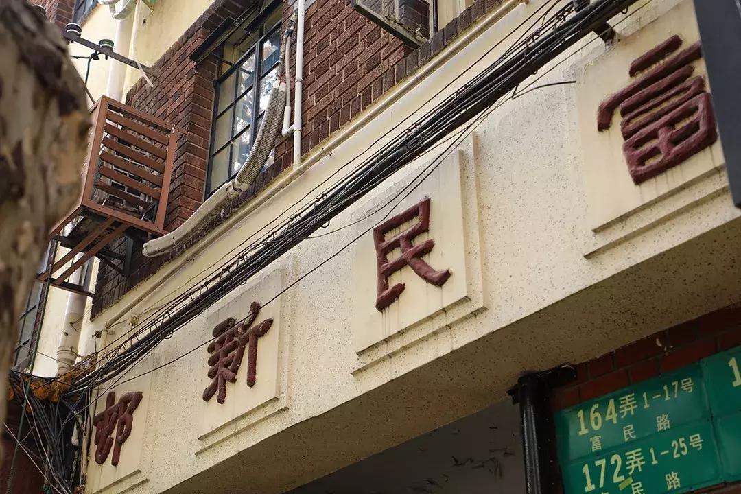 小猫猫咪，早期故事与温馨陪伴的起点