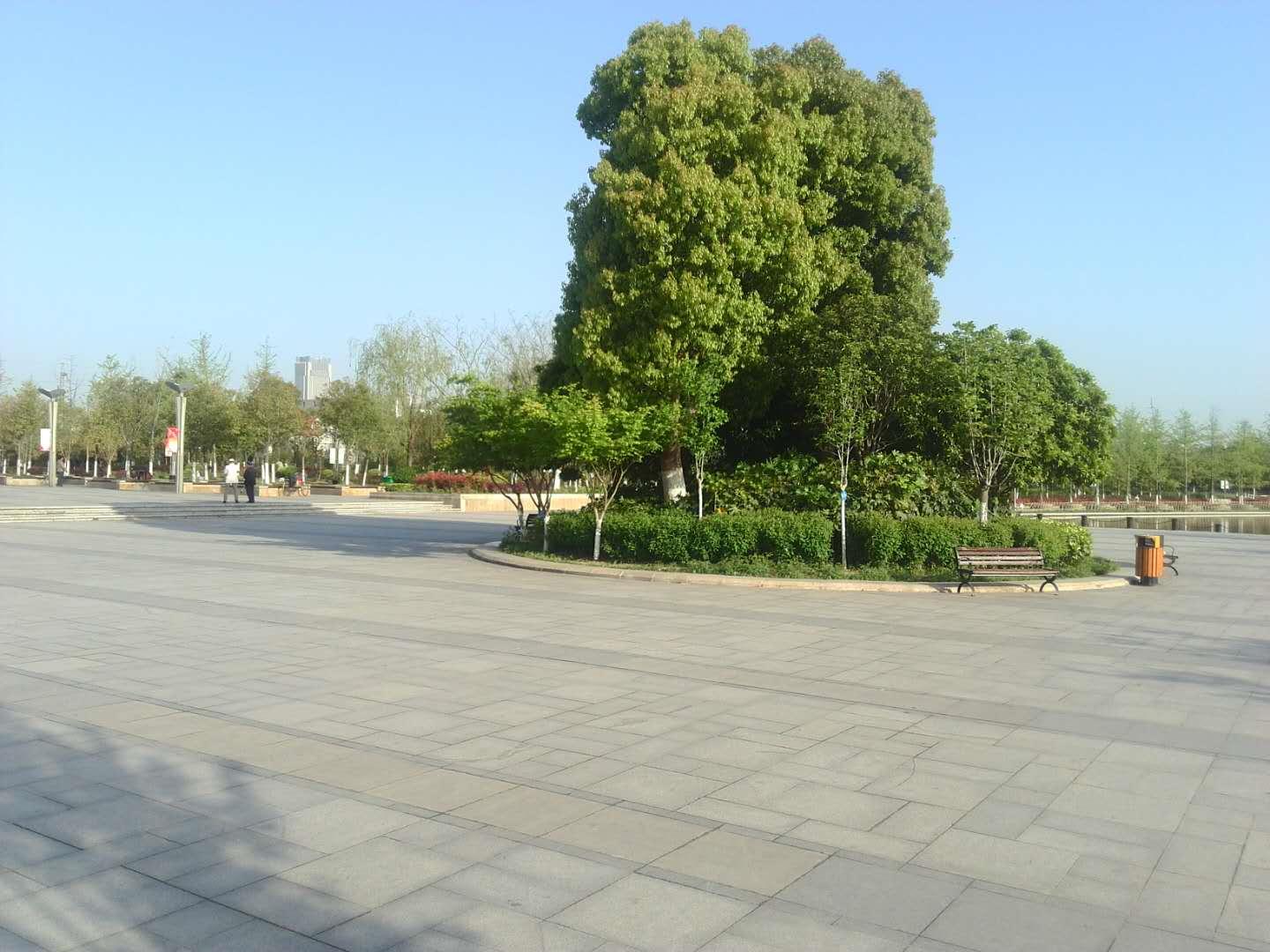 天鹅湖公园，追溯历史的起源与早期风貌探秘