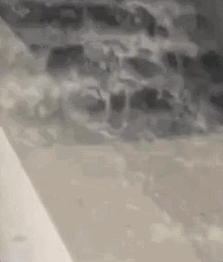 青岛大暴雨的早期记忆及其影响