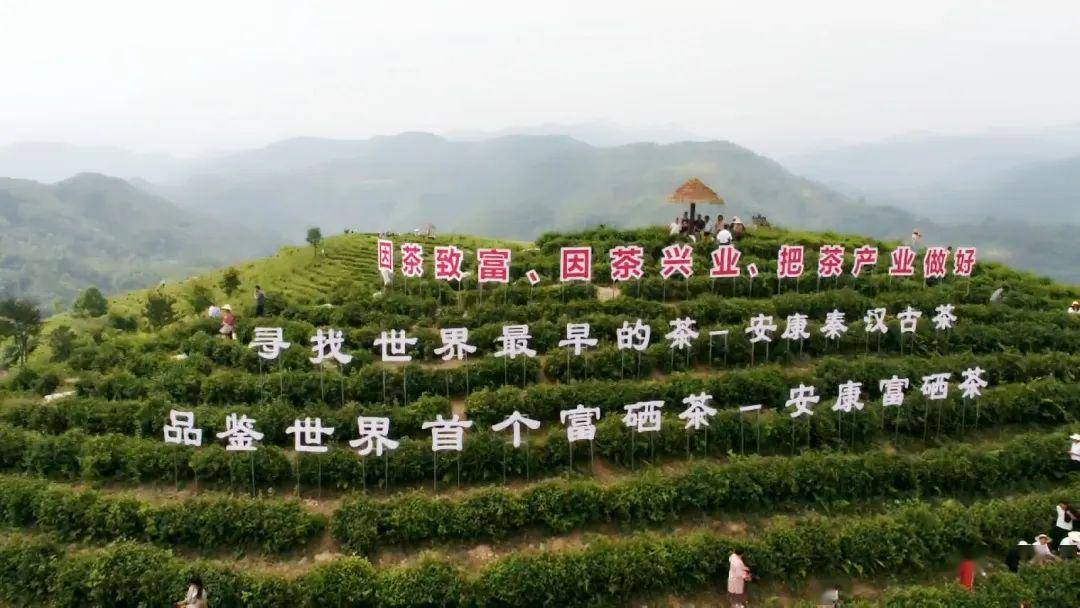 新华网，先锋报道者，捕捉时代脉搏的动态首发者