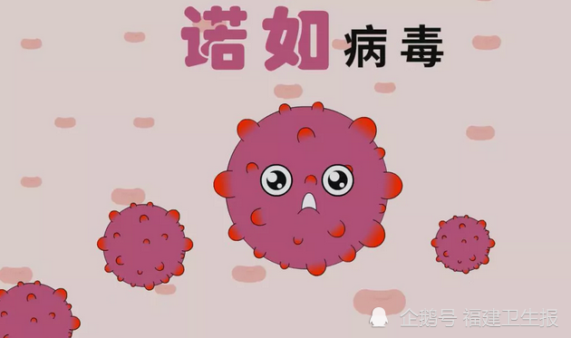 最早病毒诺如的起源、演变及防控策略探究
