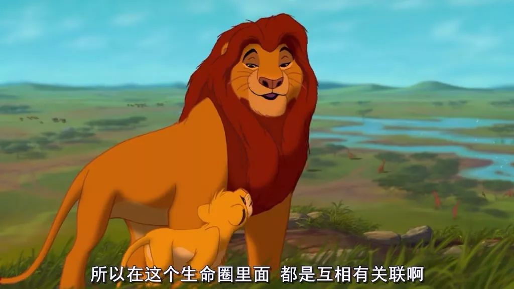 揭开神秘面纱，辛巴传奇故事的最早消息揭秘