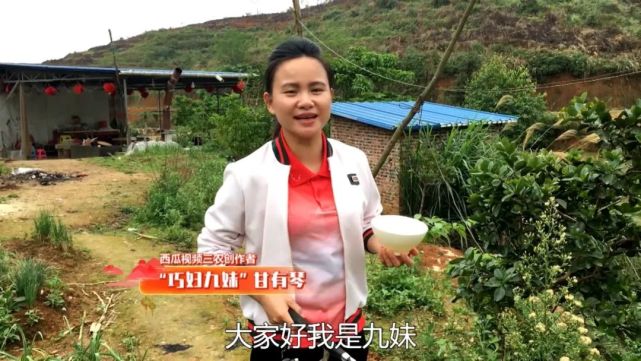 巧妇9妹早期视频，乡村美食文化的数字化传承及其启示