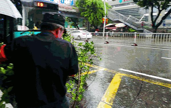 最早台风对福建的影响探究与预测分析