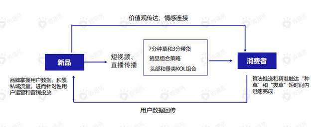 直播带货的起源与早期模式探究