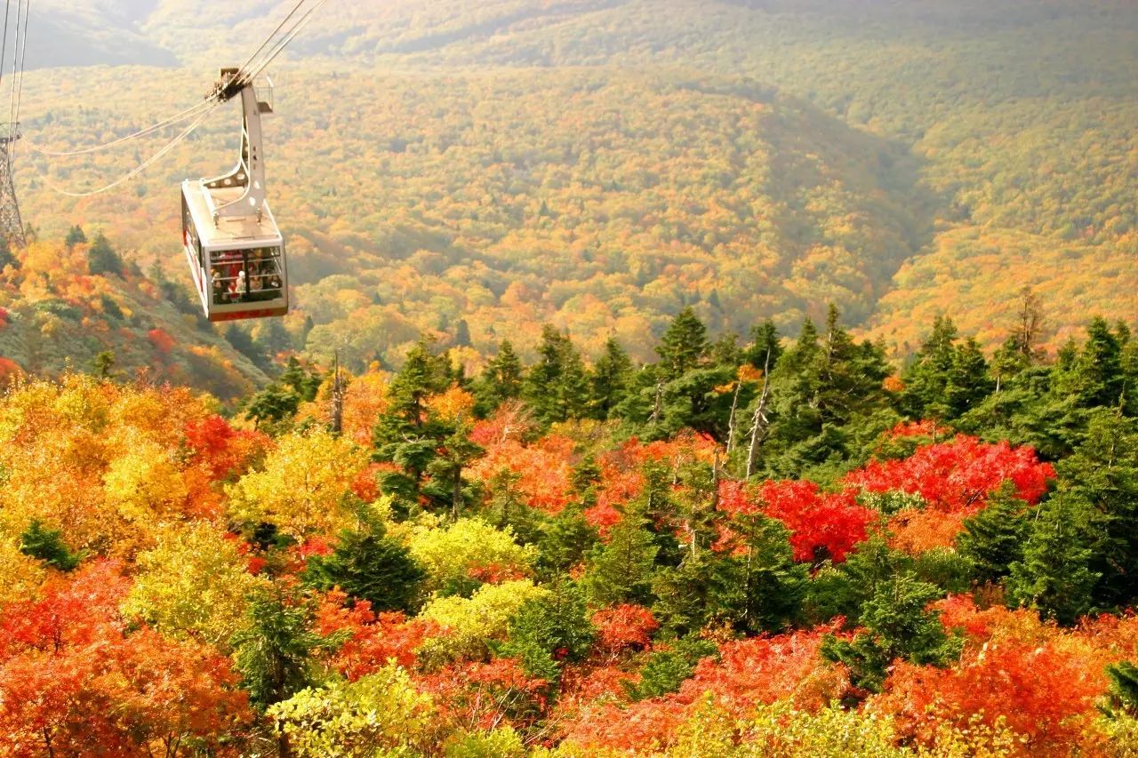 日本北海道，疫情早期的挑战与应对策略