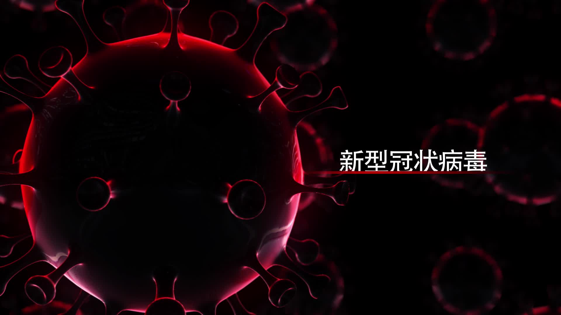 新型冠状病毒最早动态探究与分析