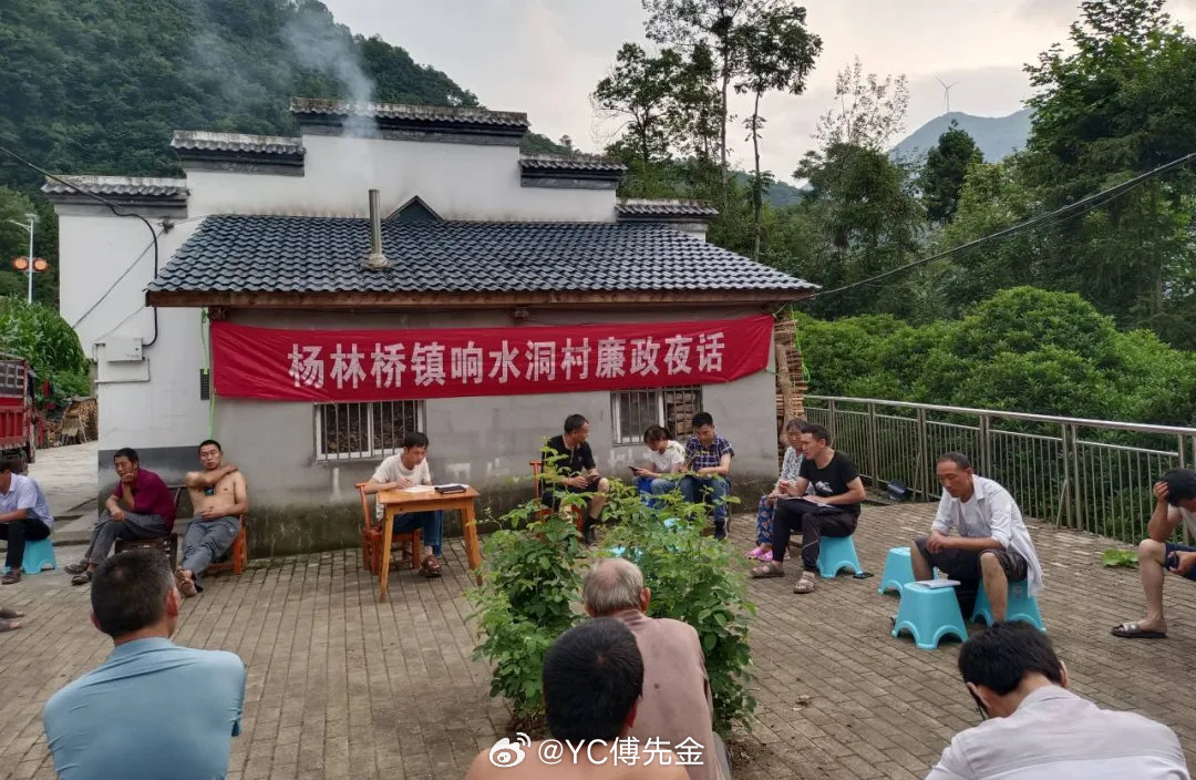 构林最新消息揭秘，揭开神秘面纱下的新篇章启动