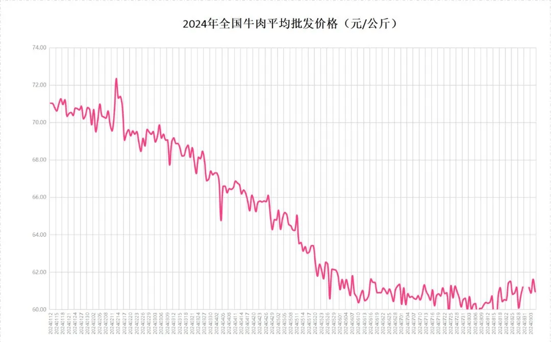 最早牛价格行情走势分析，趋势预测与深度解析