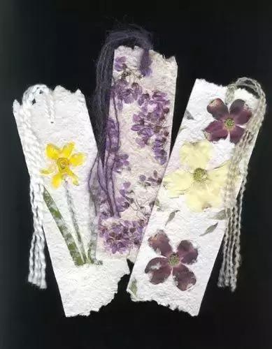 揭秘造纸业历史与未来发展，成品纸的起源及最新动态