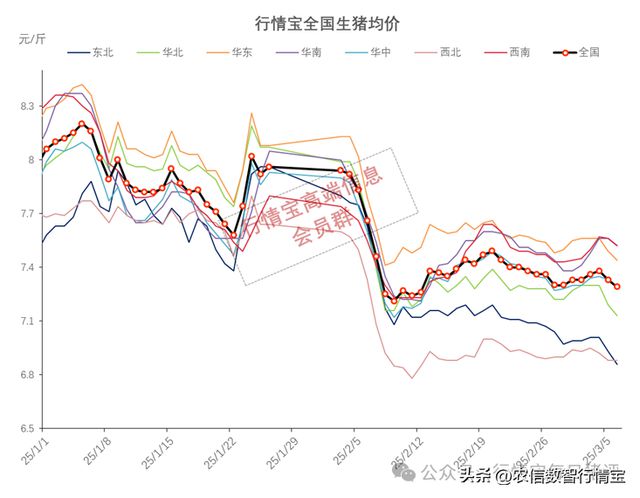 全国猪价最新行情今日报告