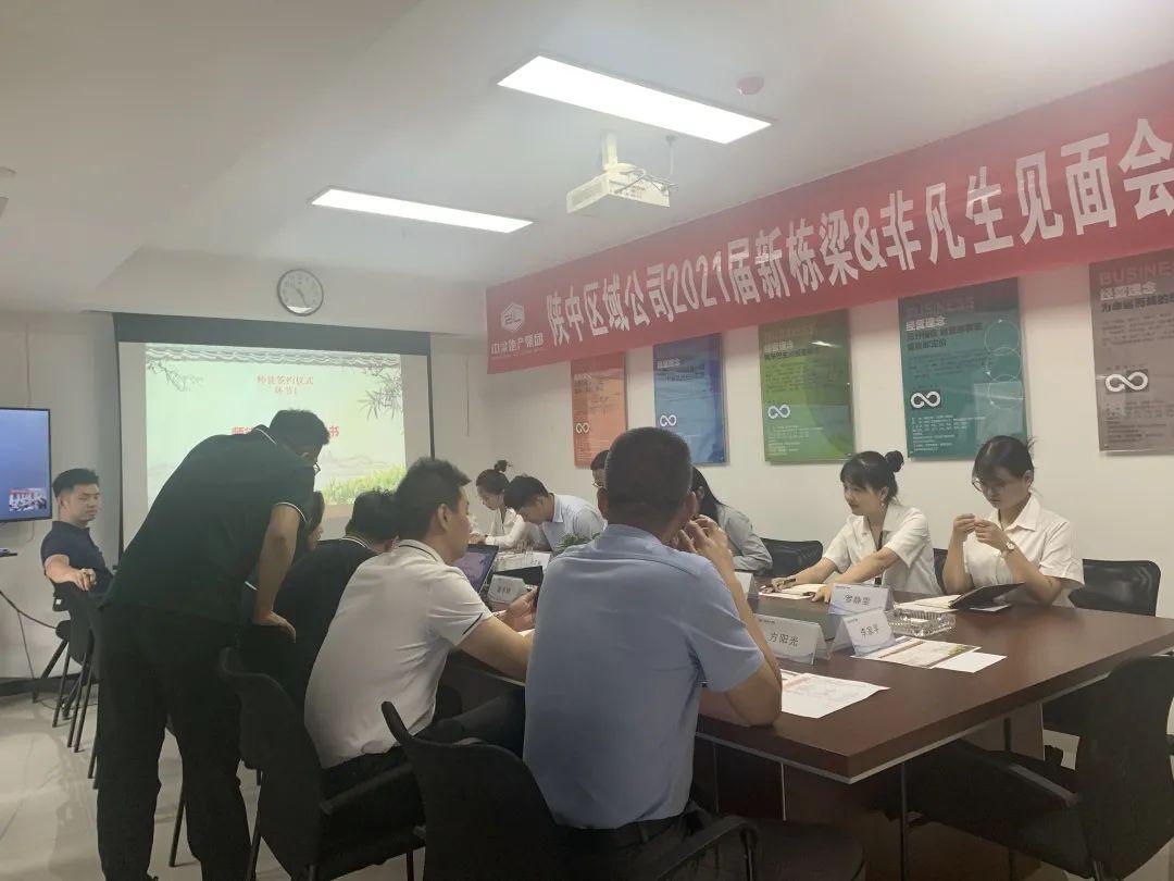 西部集团揭秘，历史沿革与未来发展展望