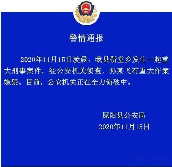 河南原阳凶杀案，早期细节揭秘与社会悲剧的震撼回顾