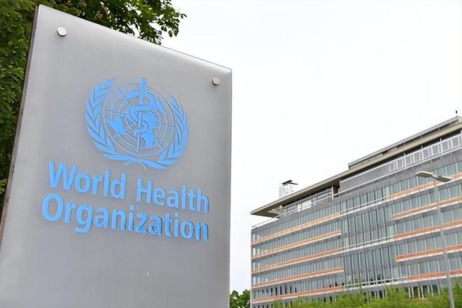 世卫组织官网揭示全球卫生事业的起点、演变与发展历程
