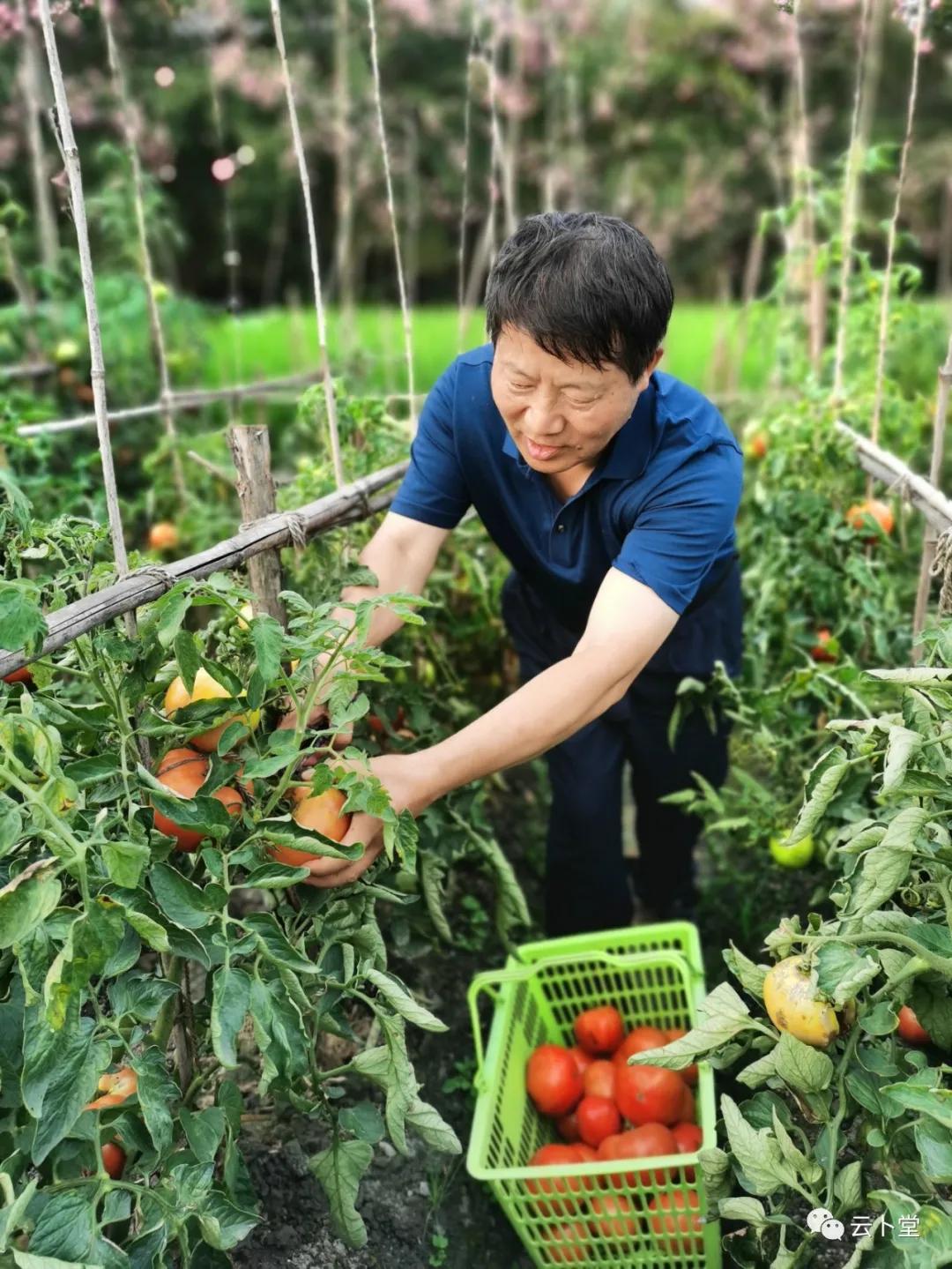 广西苏局长早期情况探究，早期经历与事迹揭秘