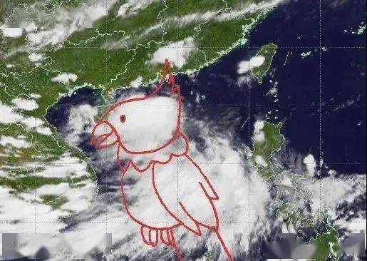 最早台风鹦鹉线路图及其影响深度解析