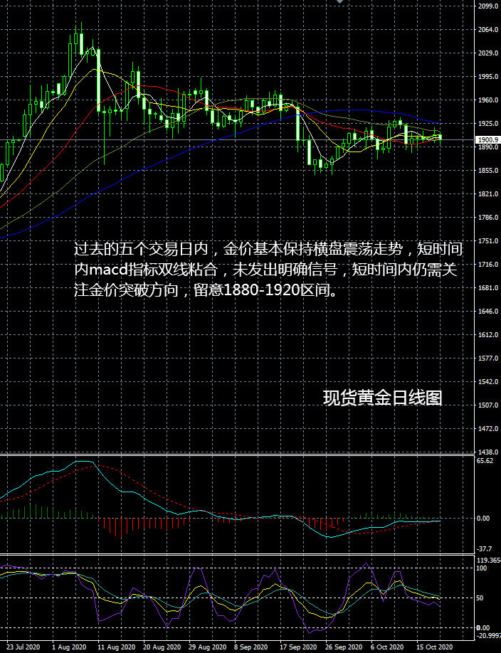 现货黄金操作建议，抓住黄金投资先机，开启财富增长之路