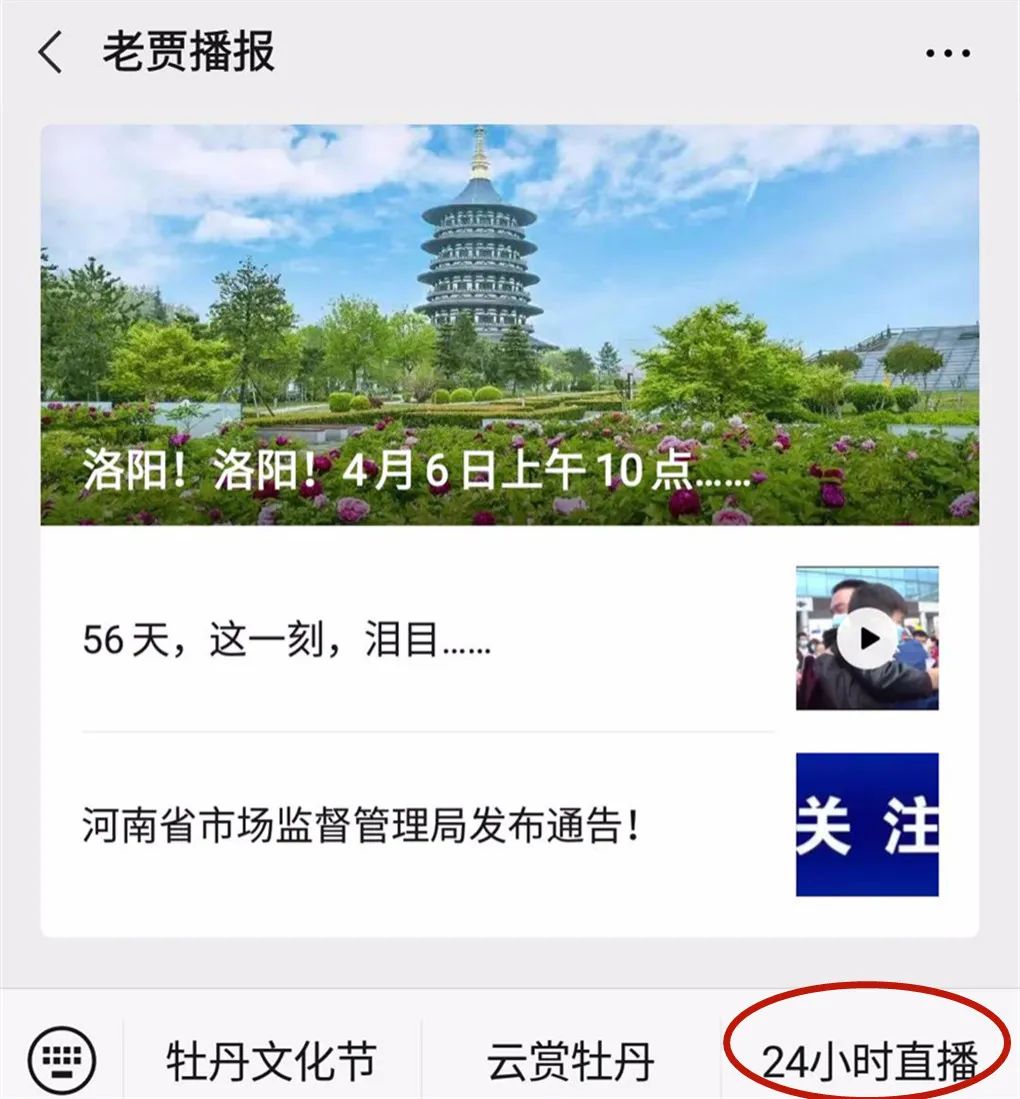 洛阳最新动态概览，近期消息更新速递