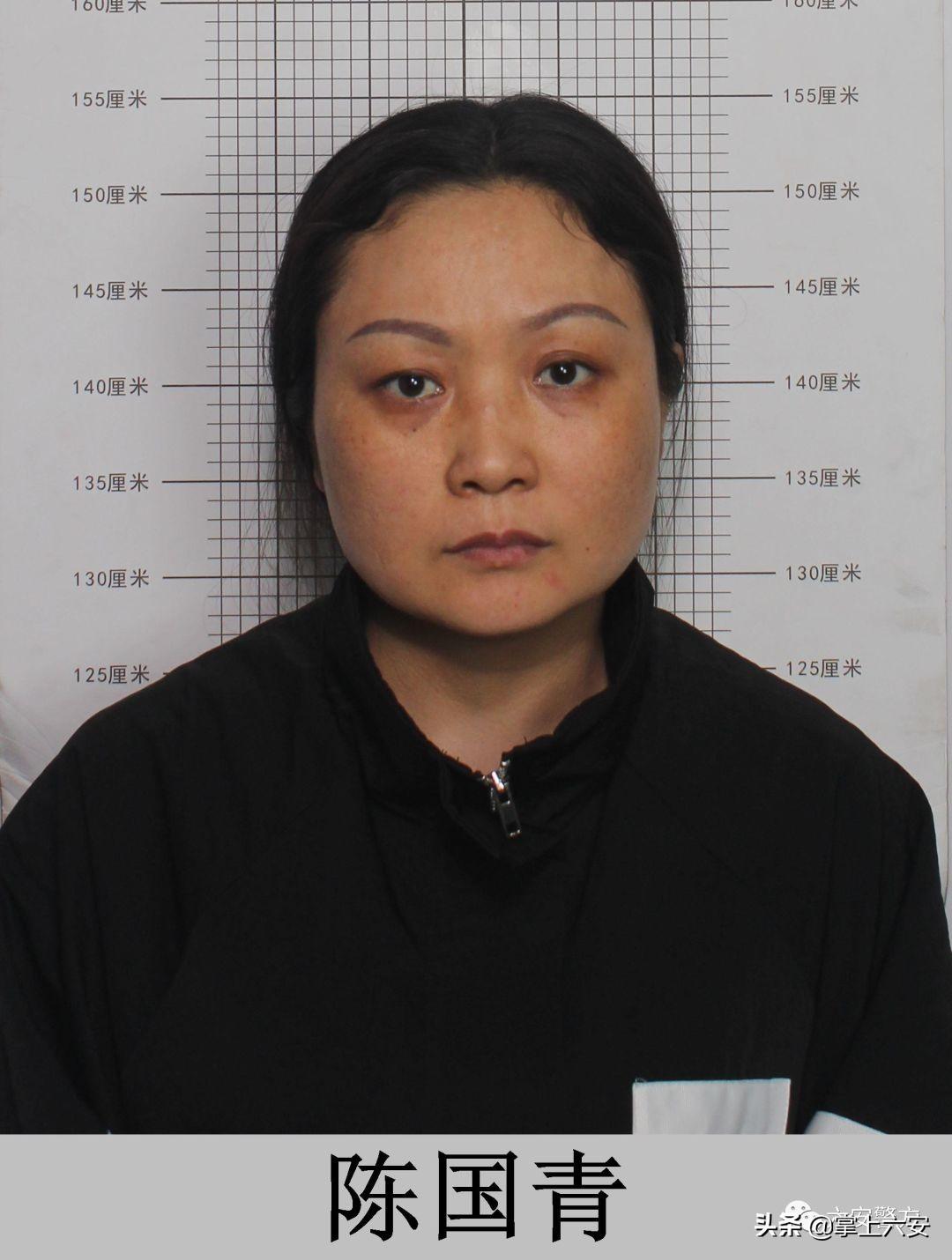 六安最早的历史通告，揭开古老讯息的面纱，追溯历史起源