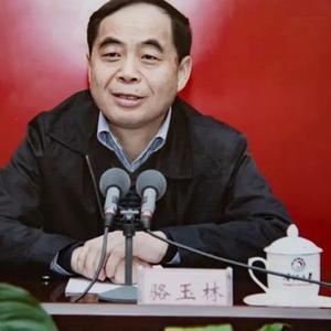 蔡鸿文，传奇人物的崛起与深远影响