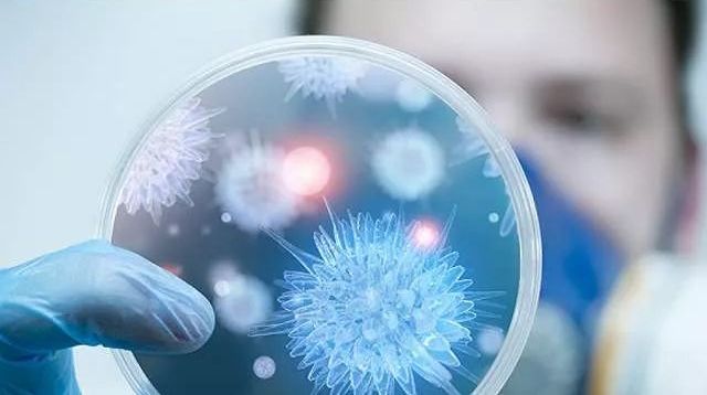 新型冠状性病毒最早疫情及其影响，一篇文章解析