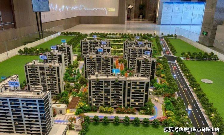 上海公司拍牌起源价格及其历史背景探究