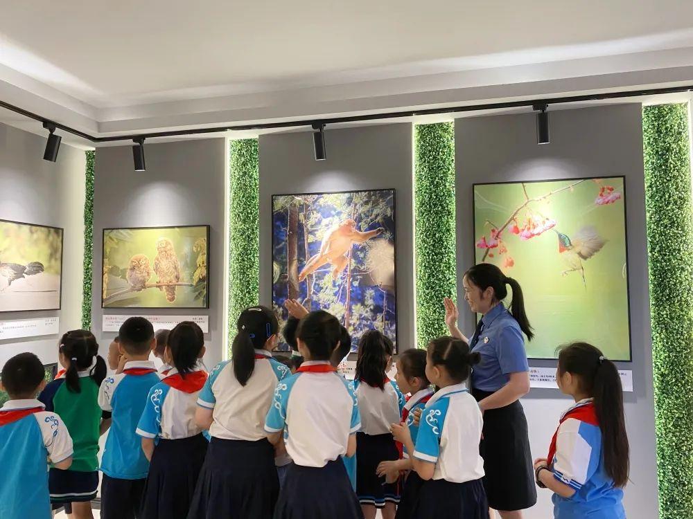 五通桥早期视频回顾，追溯历史，探寻记忆